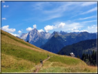 foto Da Campitello di Fassa al Col Rodella